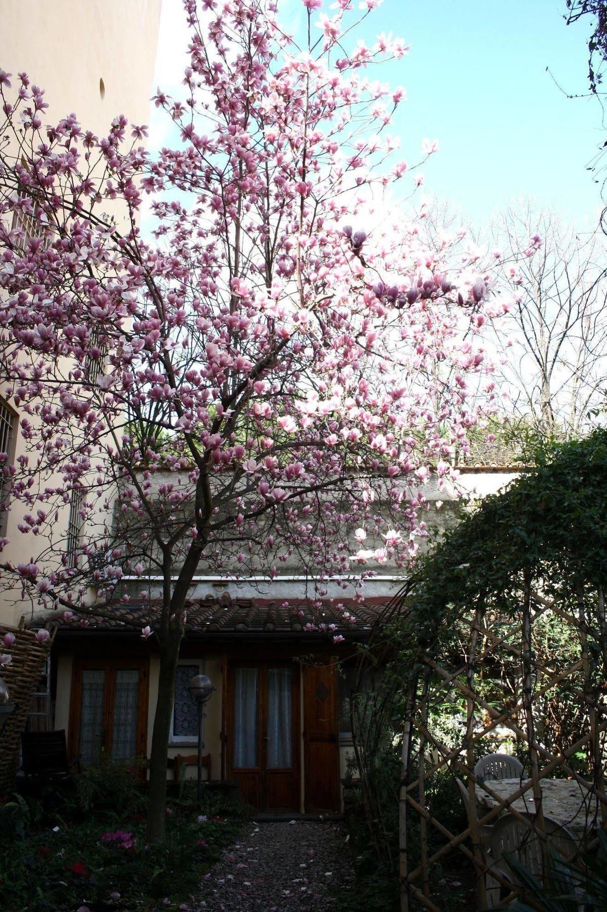 Affittacamere Casa Corsi